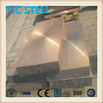 C61000 Bronze Plate/ Coil/ Strip
